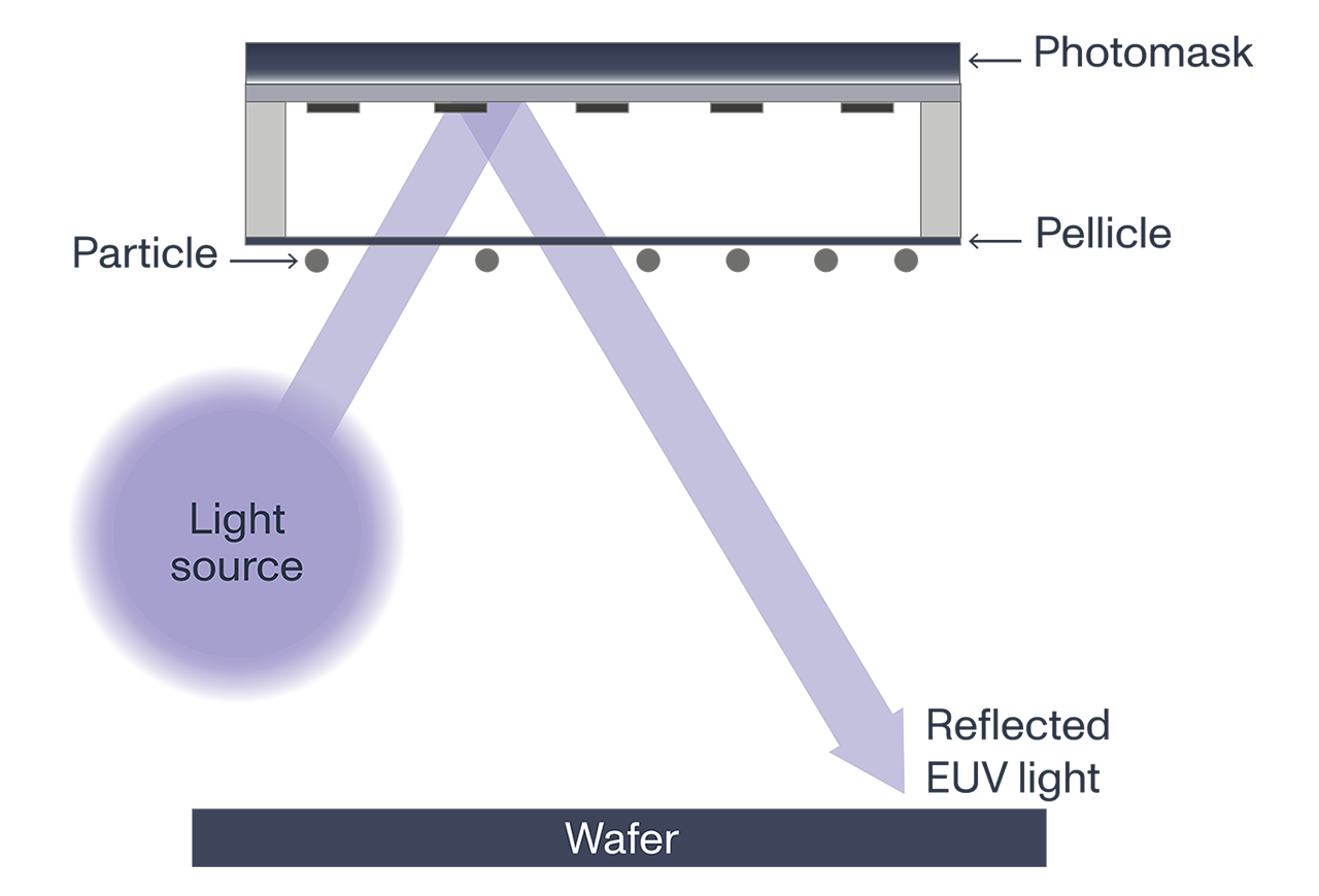 EUV pellicles