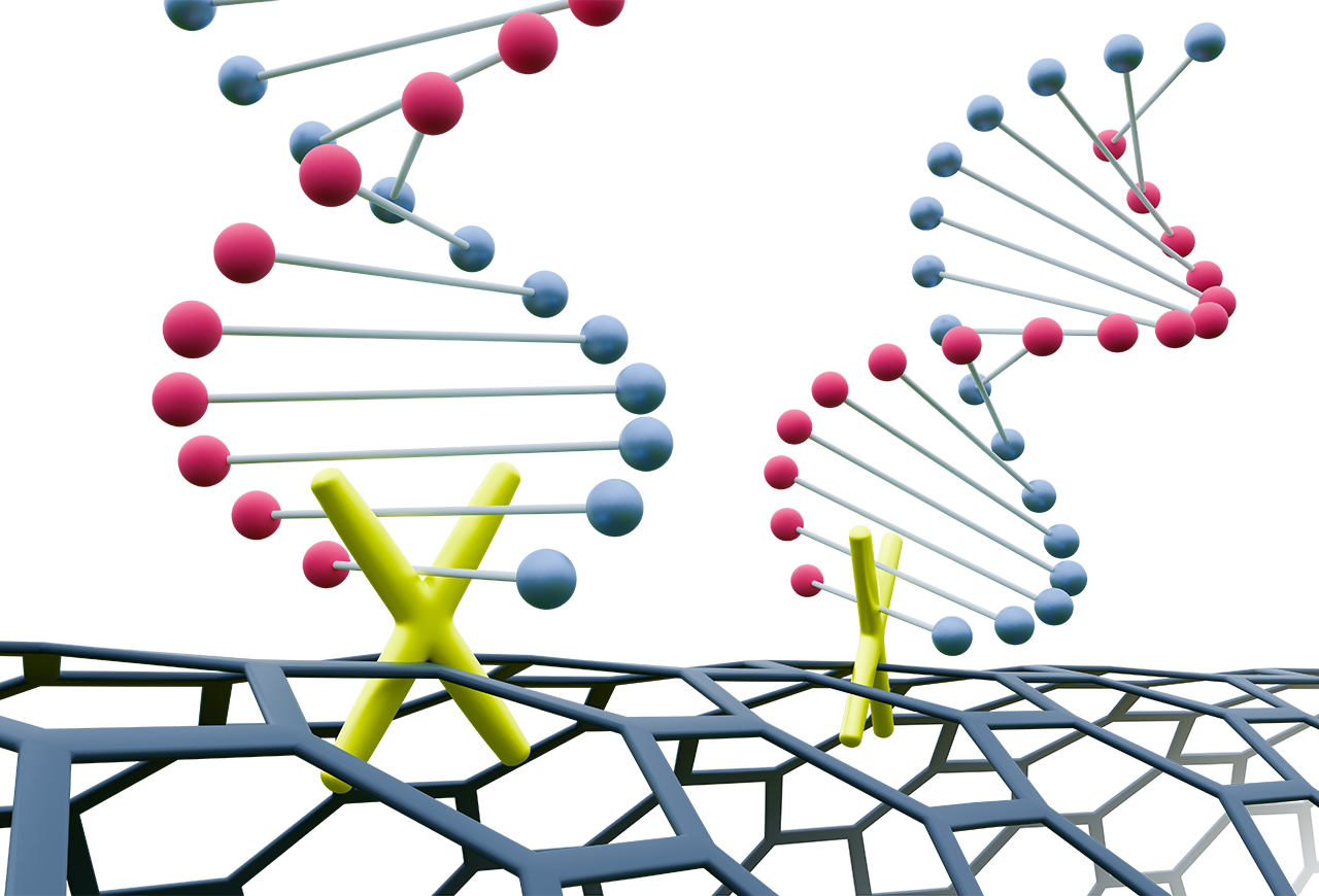 Canatu carbon nanotubes click chemistry DNA